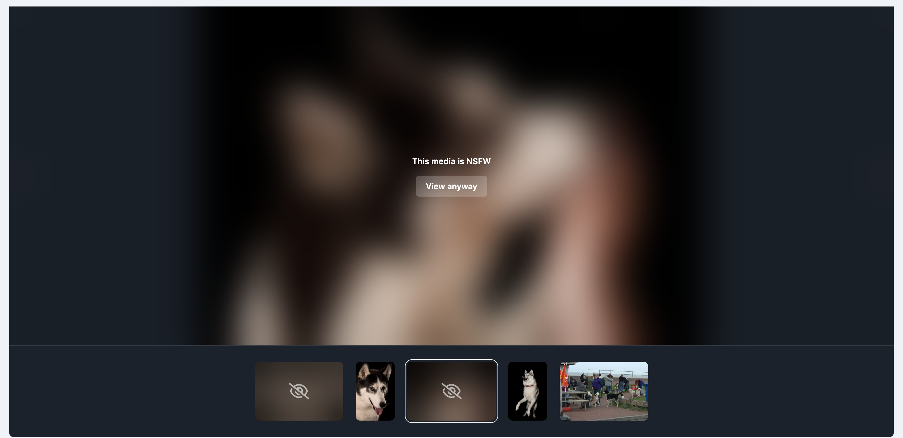 gallery_nsfw.png