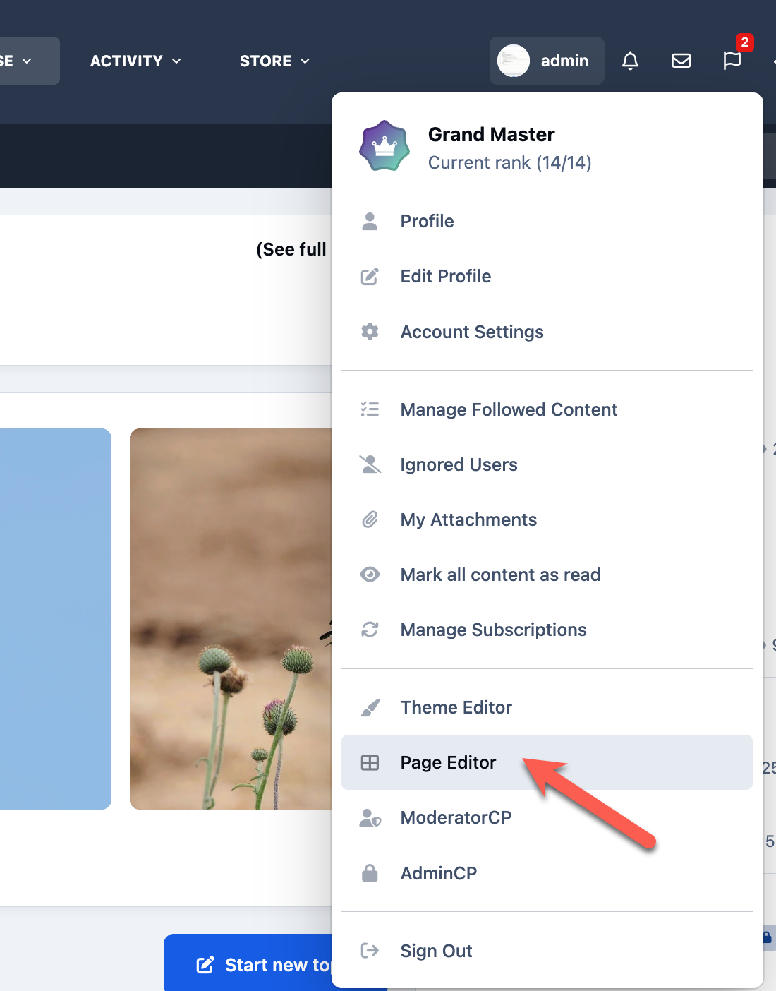 widgets_pageeditorlink.png