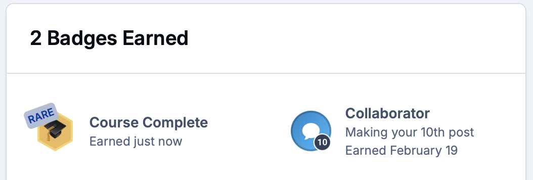 Screenshot of badges earned