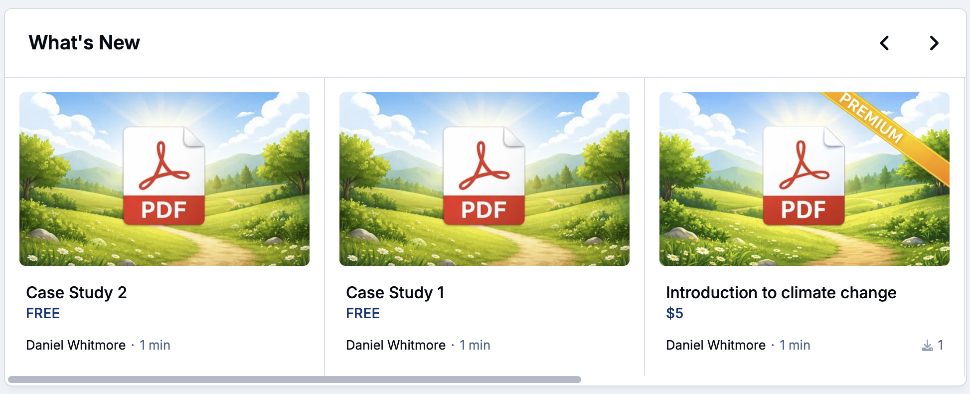 Screenshot of paid downloads